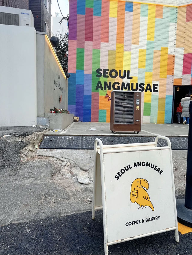Seoul Angmusae คาเฟ่ Briocheนกแก้ว 🇰🇷