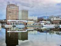 Seagulls, Seafood & the Sea: A Twilight Walk at Constitution Dock