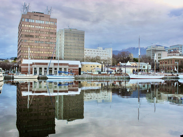 Seagulls, Seafood & the Sea: A Twilight Walk at Constitution Dock