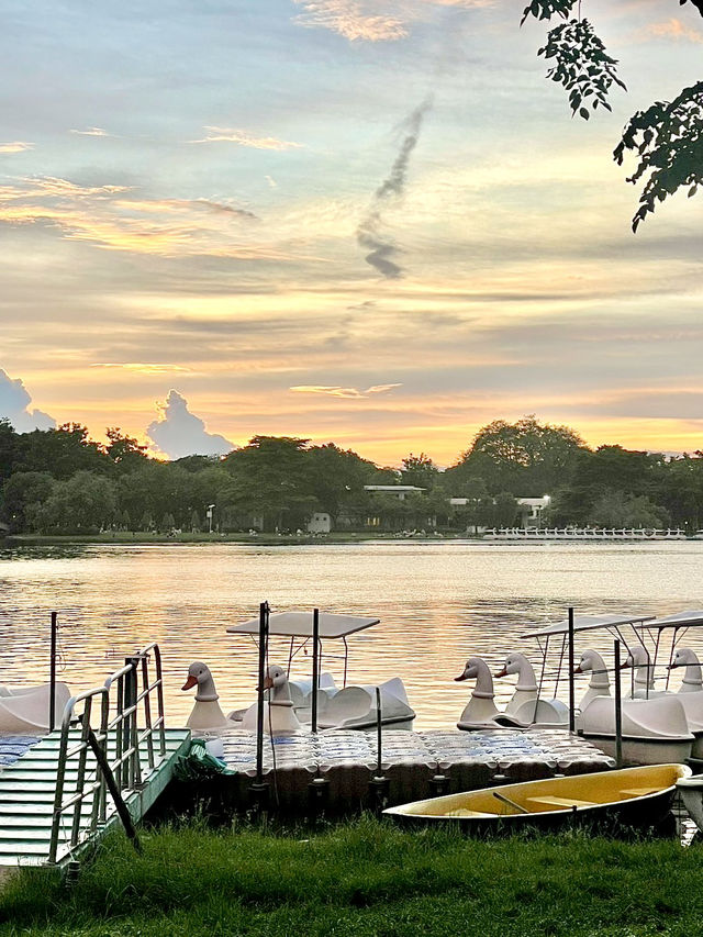ปั่นเรือเป็ด ชมพระอาทิตย์ตกที่สวนหลวง ร.9