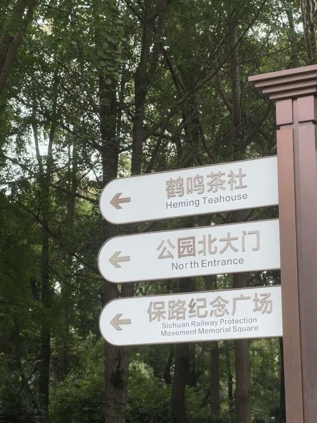 Chengdu People’s Park เดินเล่นในสวนเฉิงตู