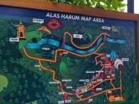 Discover the Charms of Alas Harum Bali