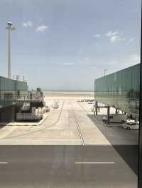 ✈️🇶🇦stop over Qatar 20 hrs.