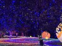 Starlit Stroll Through Kuala Lumpur’s Luna Show