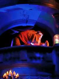 Relive the Tale as old as time in Tokyo Disneyland!