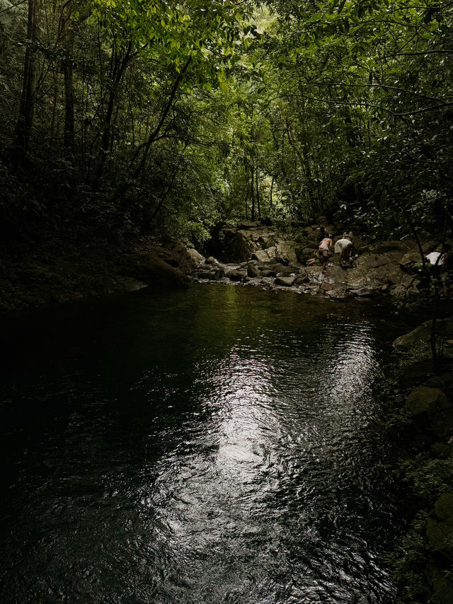 Hiking in Bạch Mã — Waterfalls, Jungle & Quiet Moments ⛰️🌧️