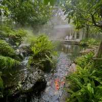 🌳☕ TopTen Forest – คาเฟ่ในสวนเขียวกลางอ่างทอง 