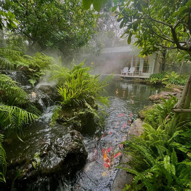 🌳☕ TopTen Forest – คาเฟ่ในสวนเขียวกลางอ่างทอง 
