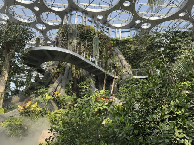 Shanghai Botanical Garden: A Green Oasis for Stunning Photos! 📸🌿