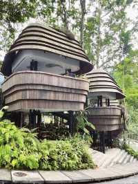 WYAH Cafe