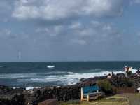 Jeju Escape: Cafe Bomnal’s Coastal Charm 