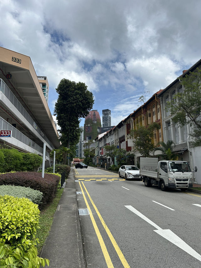 🇸🇬 สิงคโปร์ เมืองเล็กที่จัดระเบียบได้ใหญ่! 🌿✨