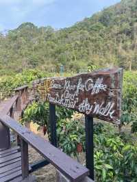 รีวิว “บ้านหมากม่วง” เขาใหญ่ 🥭