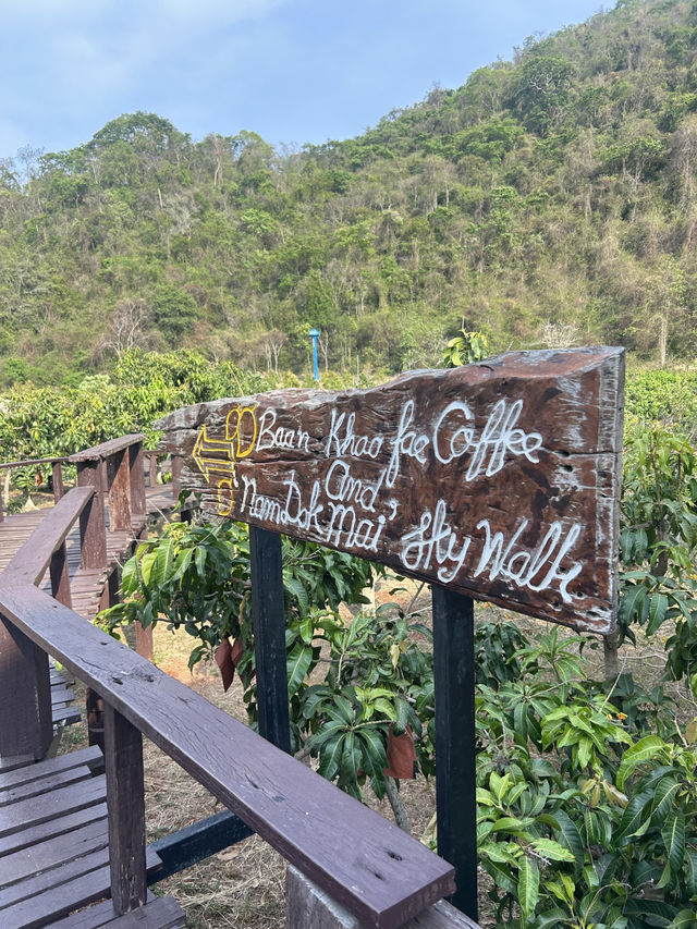 รีวิว “บ้านหมากม่วง” เขาใหญ่ 🥭
