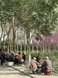 Beyond the Museum Walls: A Morning Stroll at Wenbo Park