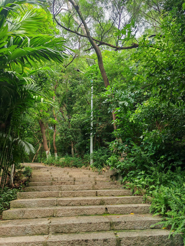 Xiangyue Park 🌳 