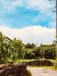 A Unique Celebration of Jeju's Iconic Stone Walls