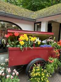 🌷 Keukenhof… เหมือนหลุดเข้าไปอยู่ในเทพนิยายดอกไม้