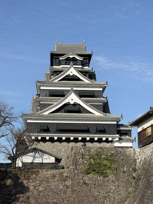 【熊本城】歴史と復興の力強さに心打たれる、熊本のシンボル🏯✨