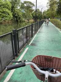 Chatuchak Park สวนจตุจักร