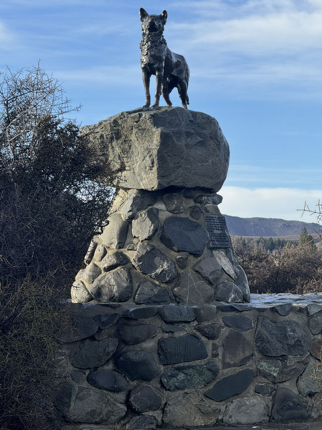 Tekapo - Lake, Dog statue & Church 