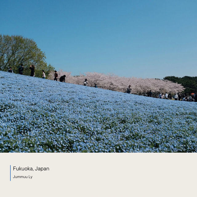 Uminonakamichi Seaside Park | ฟุกุโอกะ