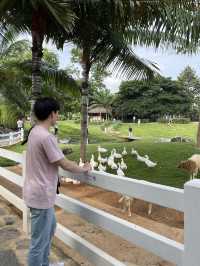 Bucolic, a lovely place in Khao Yai 🇹🇭
