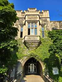 🎓🍁 Campus Tour of Canada’s #1 University – University of Toronto