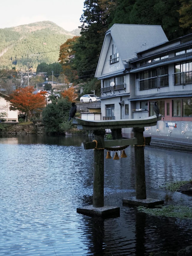 朝霧に包まれる幻想の湖、金鱗湖で心洗われるひととき🌫️ 朝霧に包まれる幻想の湖、金鱗湖で心洗われるひととき🌫️