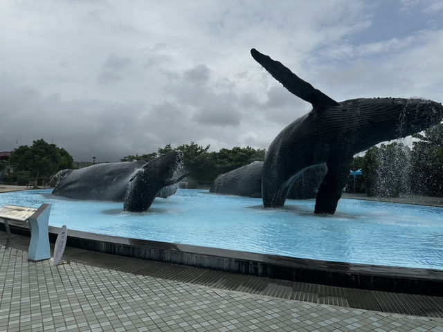 多年後舊地重遊與白鯨邂逅海生館 多年後舊地重遊與白鯨邂逅海生館