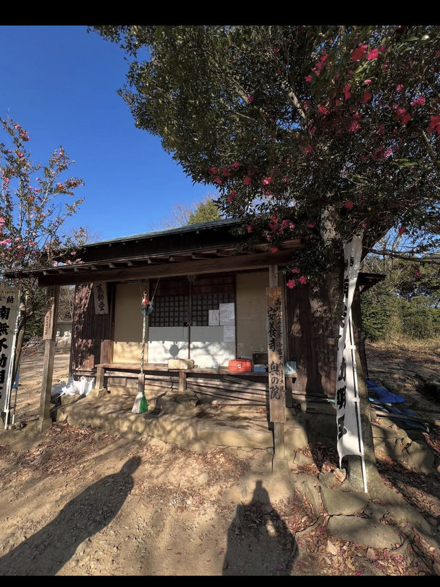 【香川旅】讃岐富士・飯野山でのんびり登山と絶景を楽しむ癒しのひととき 【香川旅】讃岐富士・飯野山でのんびり登山と絶景を楽しむ癒しのひととき
