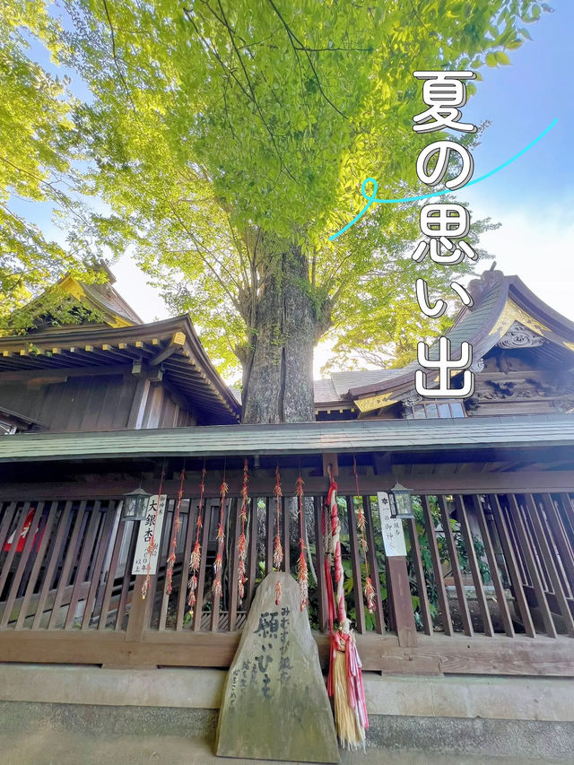 【千葉】むすびの神様に会いに行こう!!