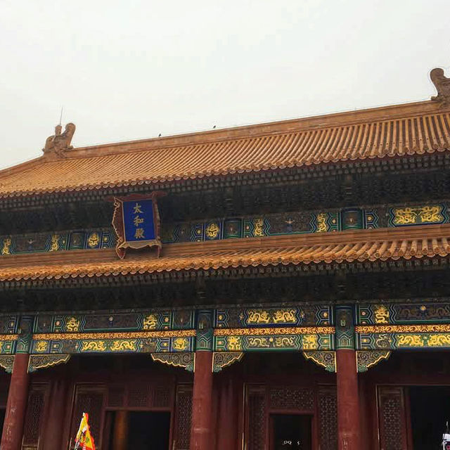  Walking Through Imperial History at the Forbidden City