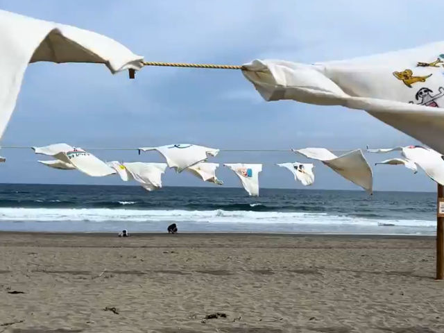 高知の“ウユニ塩湖”！？入野の浜で幻想的な海の旅を
