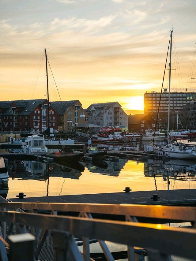 ❄️🌌 “Gateway to the Arctic: My Magical Day in Tromsø” 🇳🇴