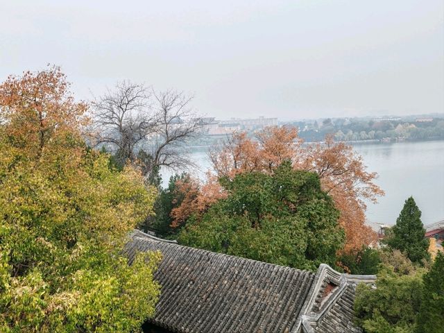 A Belated Realization at Beihai Park A Belated Realization at Beihai Park
