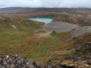 東加里羅國家公園：火山景觀與狂野氛圍