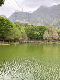 Step Into Nostalgia at Checheng Wood Museum