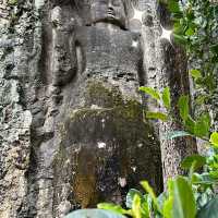 ๐ฟ Discover the Charm of De Badulla, Sri Lanka!