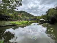 🌿 Yanoda — Hainan’s Tropical Rainforest Wonderland