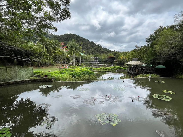 🌿 Yanoda — Hainan’s Tropical Rainforest Wonderland