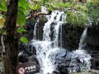 🌿 Yanoda — Hainan’s Tropical Rainforest Wonderland