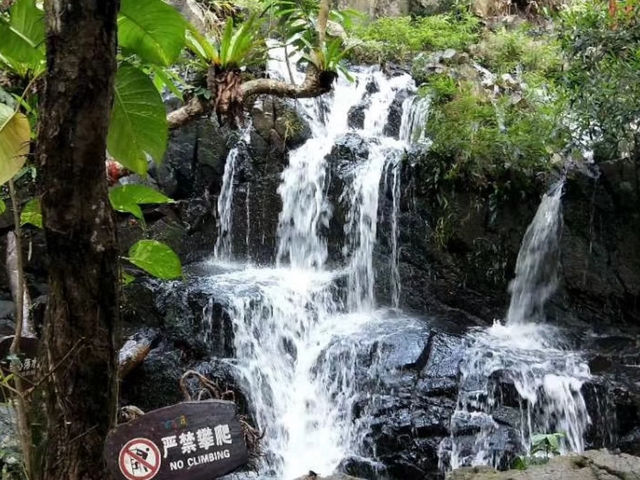 🌿 Yanoda — Hainan’s Tropical Rainforest Wonderland