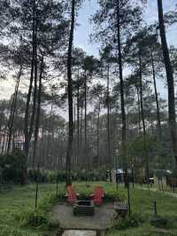 Bobocabin Cikole Experience 🔥