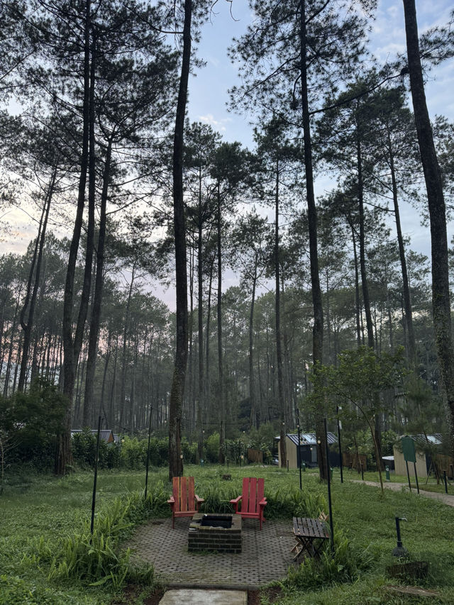 Bobocabin Cikole Experience 🔥