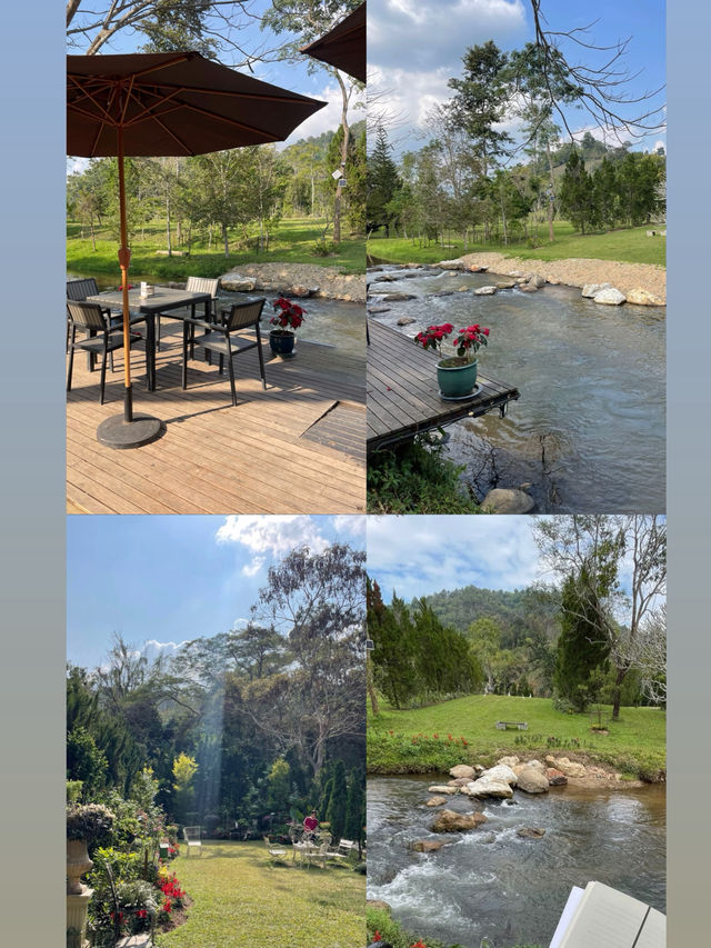 Canary Cafe & Restaurantคาเฟ่ริมน้ำตก ฟีลธรรมชาติ Canary Cafe & Restaurantคาเฟ่ริมน้ำตก ฟีลธรรมชาติ