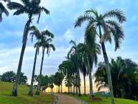 Palm Hill Putrajaya: A Hidden Green Gem in the Heart of Malaysia’s Garden City