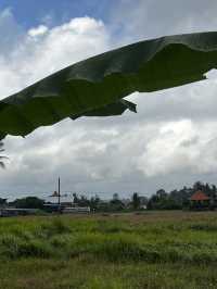 ウブドでセルフリトリートする理由5つ🇮🇩✈️🌎