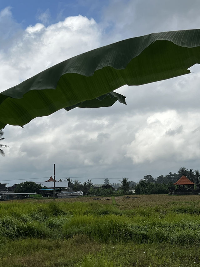 ウブドでセルフリトリートする理由5つ🇮🇩✈️🌎 ウブドでセルフリトリートする理由5つ🇮🇩✈️🌎