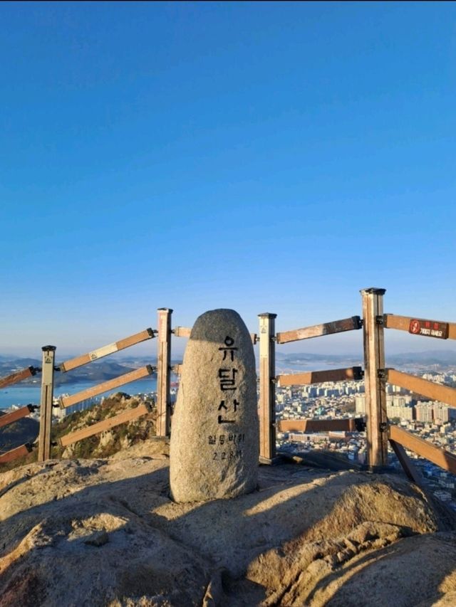 ⛰️ 목포 유달산 등산